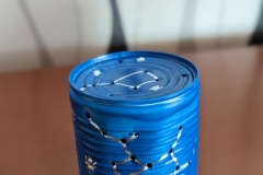 SMS-029